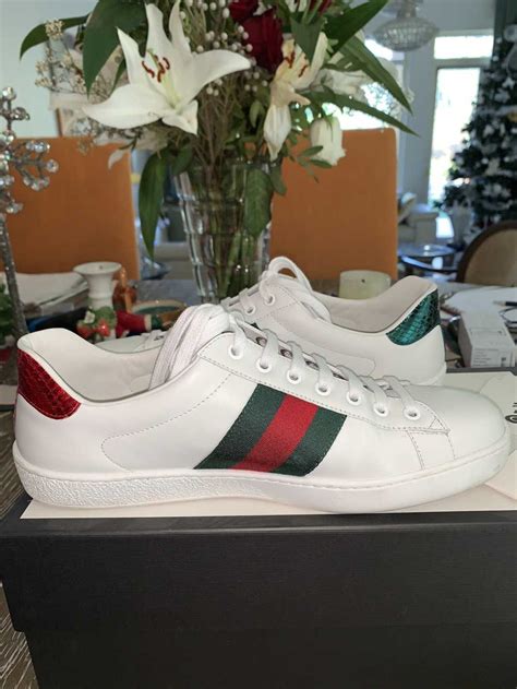 gucci low top sneakers price|gucci ace sneakers kingsnake.